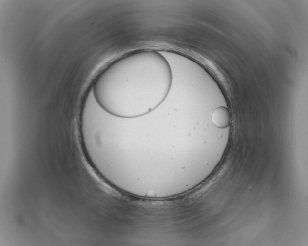 X0000111791432200908061127