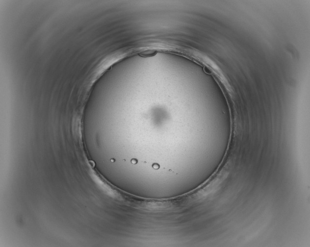 X0000111791433200908061127