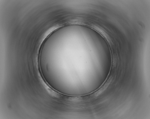 X0000111791434200908061127