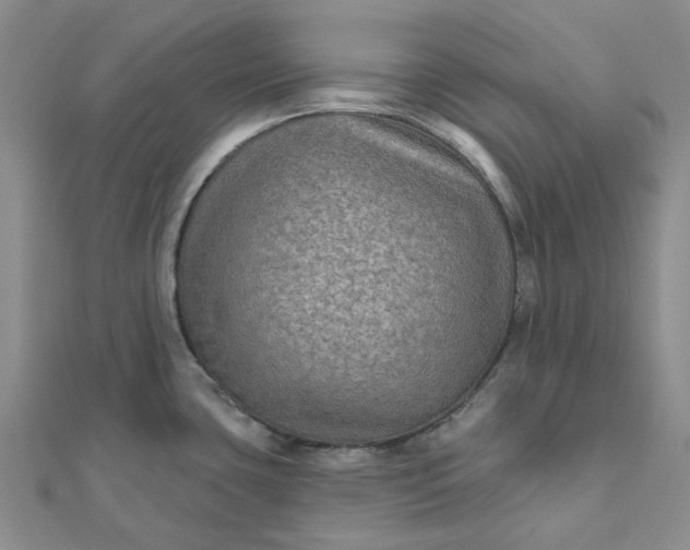 X0000111791435200908061127