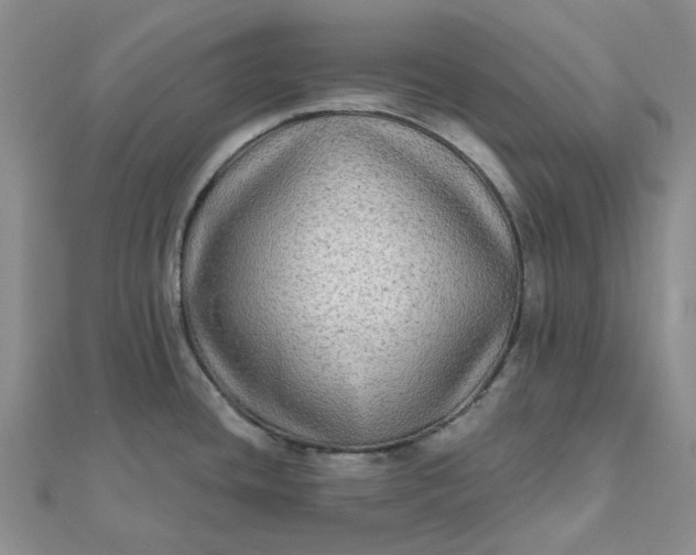 X0000111791436200908061127