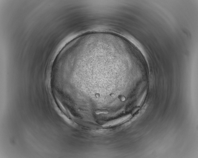 X0000111791437200908061127