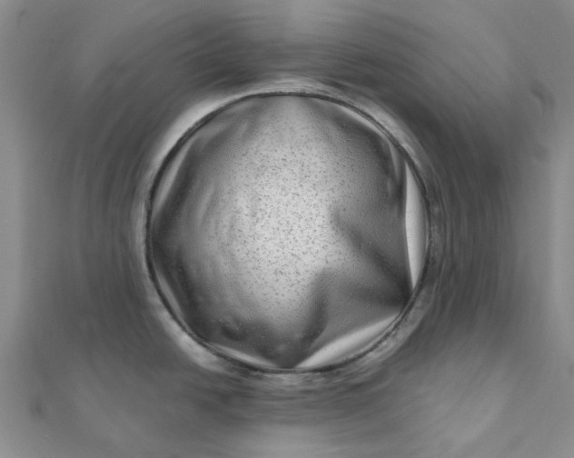 X0000111791438200908061127