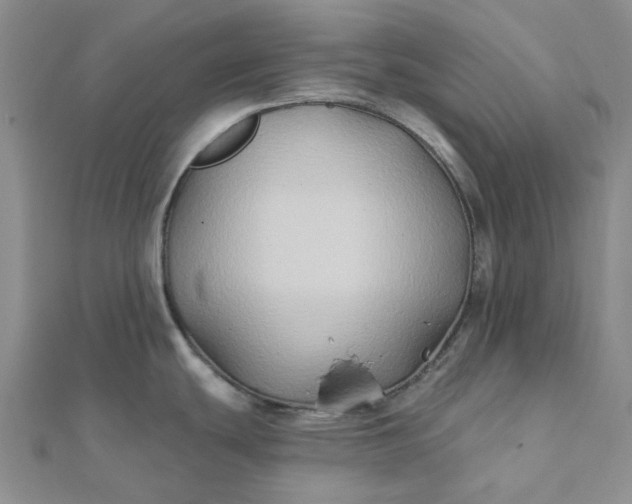 X0000111791439200908061127