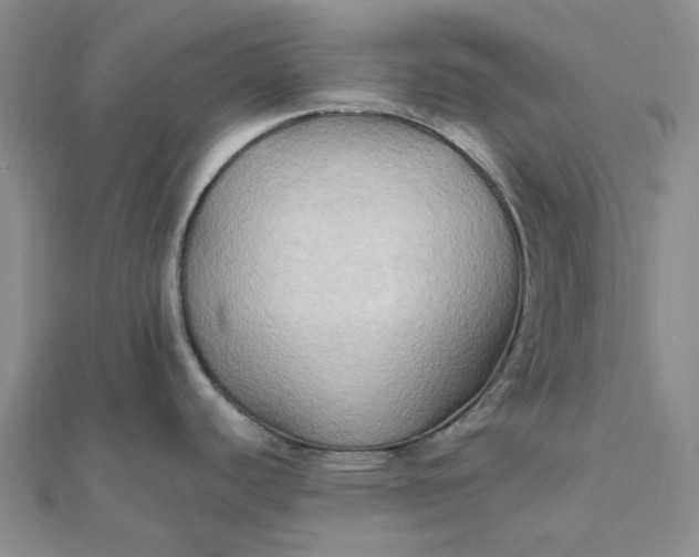 X0000111791440200908061127