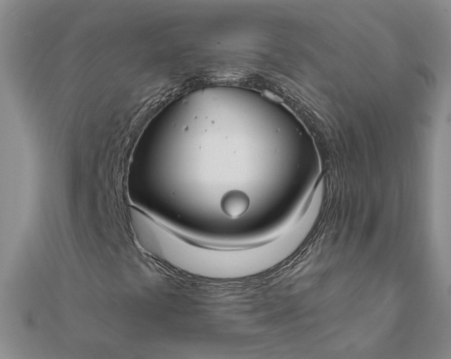 X0000111791441200908061126