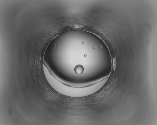 X0000111791443200908061126