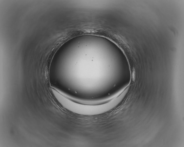 X0000111791444200908061126