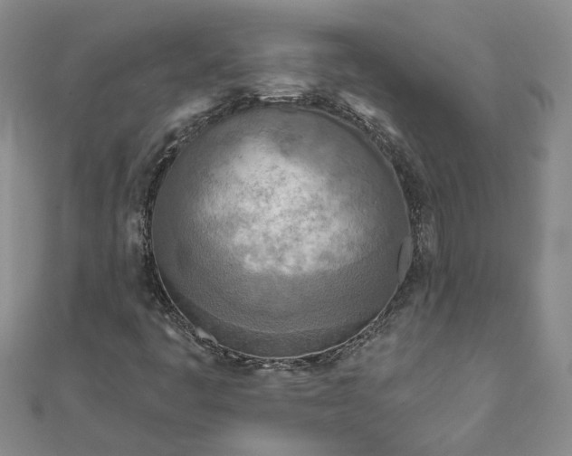 X0000111791445200908061126