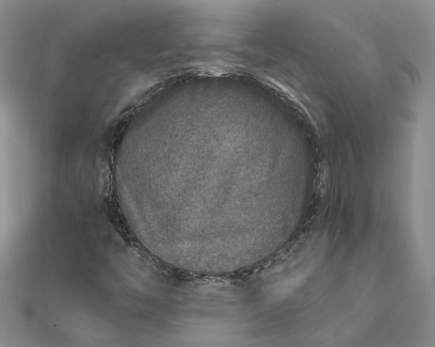 X0000111791446200908061126