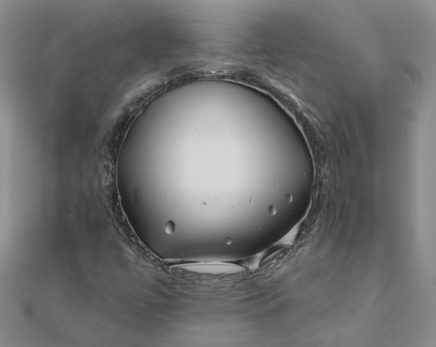 X0000111791447200908061126