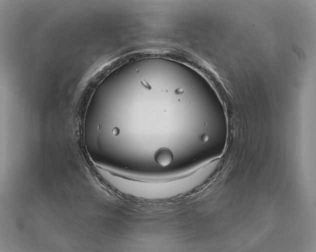 X0000111791448200908061126