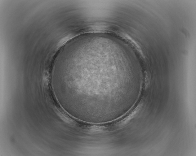 X0000111791449200908061126