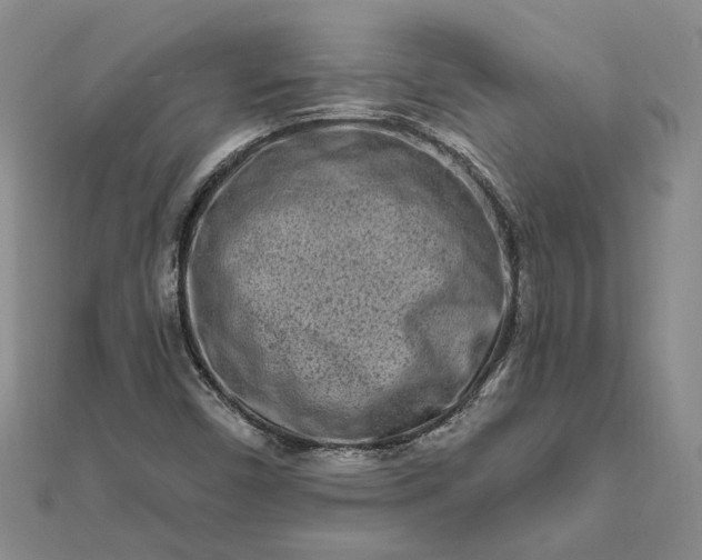 X0000111791450200908061126