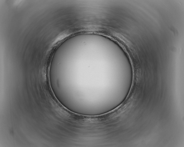 X0000111791451200908061126