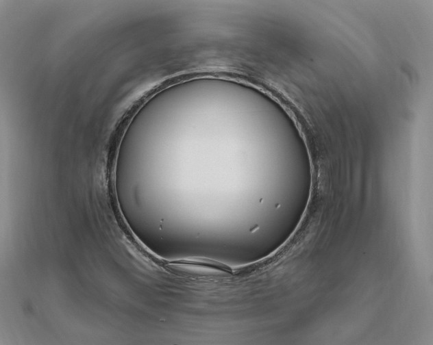 X0000111791452200908061126