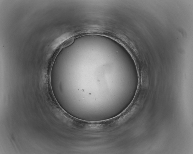 X0000111791453200908061126