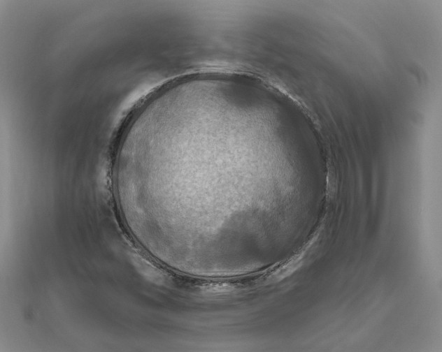 X0000111791454200908061126