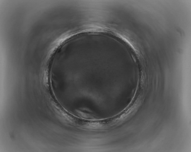 X0000111791455200908061126