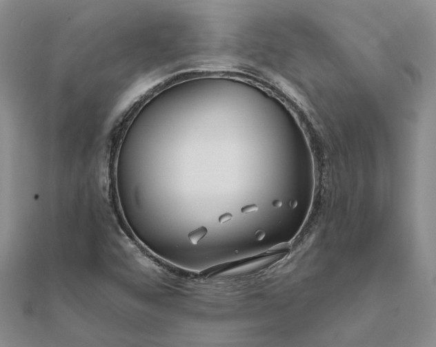 X0000111791456200908061126