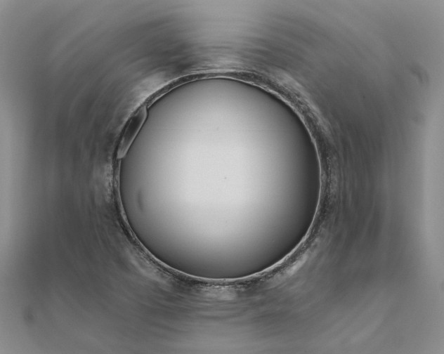 X0000111791457200908061126