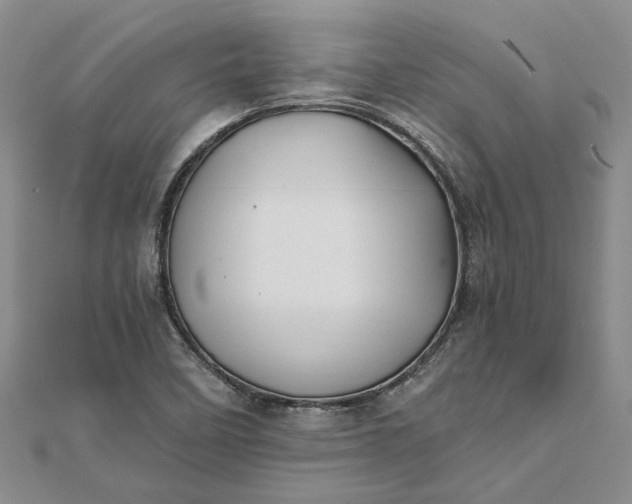 X0000111791458200908061126