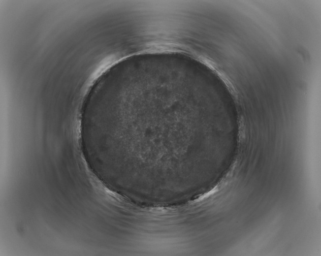 X0000111791459200908061126