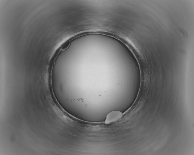 X0000111791460200908061126