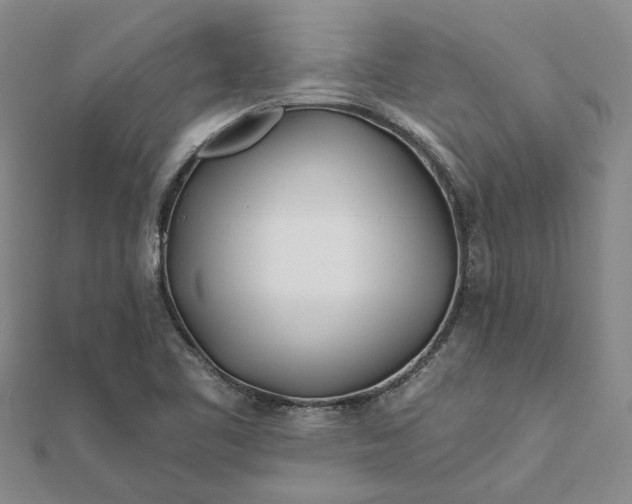 X0000111791461200908061126