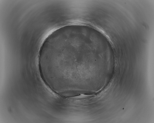 X0000111791463200908061126