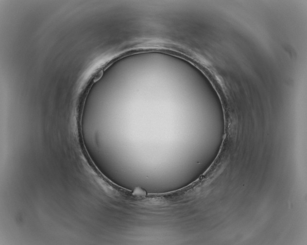 X0000111791464200908061126