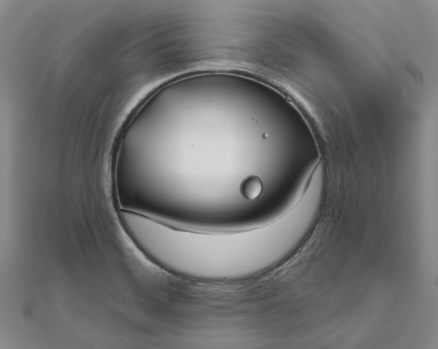 X0000111791468200908061126