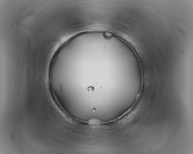 X0000111791469200908061126