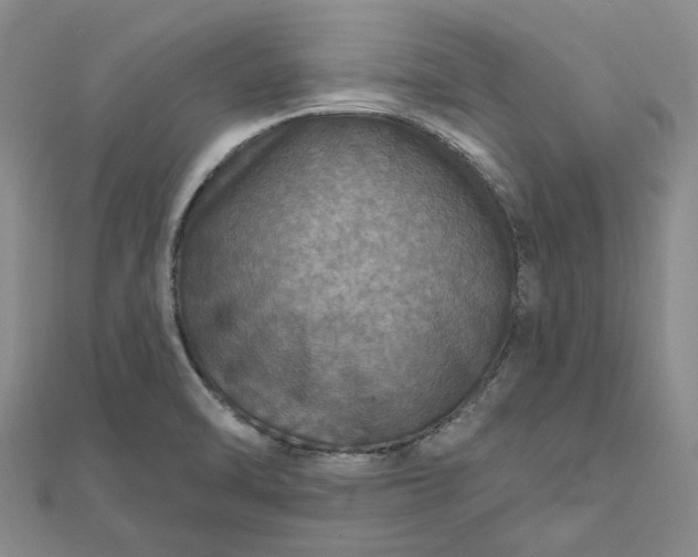 X0000111791470200908061126