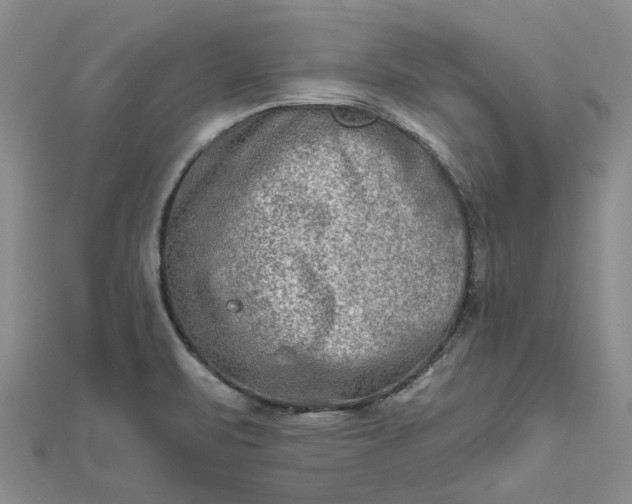 X0000111791471200908061126