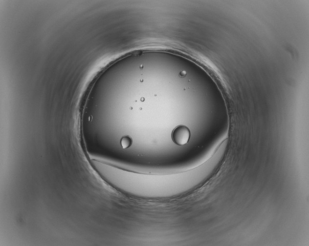 X0000111791472200908061126