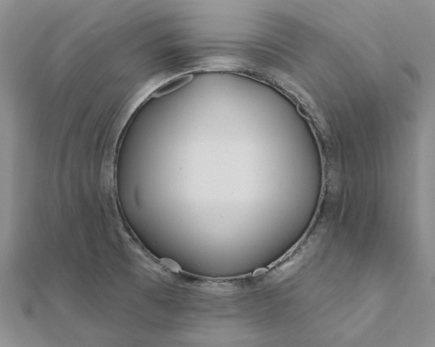 X0000111791473200908061126