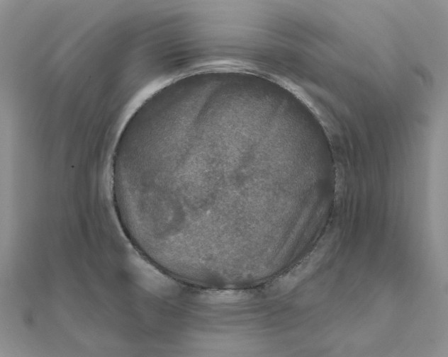 X0000111791474200908061126