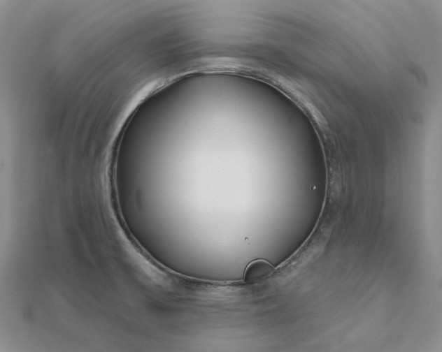 X0000111791475200908061126