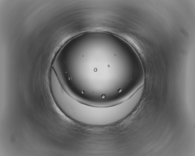 X0000111791476200908061126