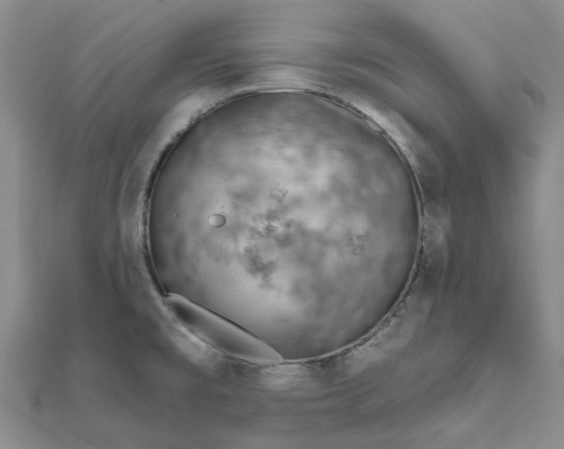 X0000111791477200908061126