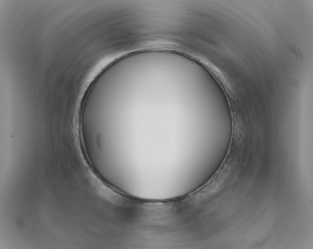 X0000111791478200908061126