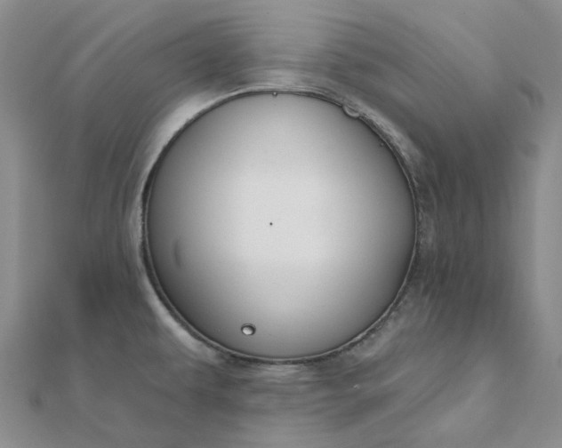 X0000111791479200908061126