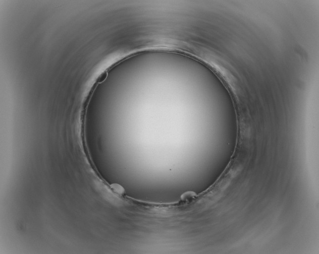 X0000111791480200908061126