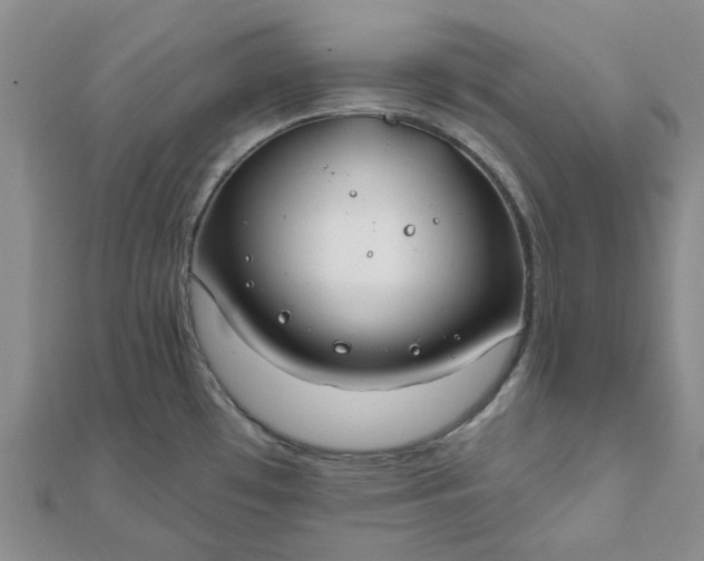 X0000111791481200908061126