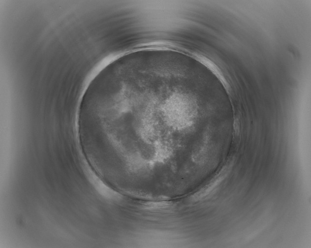 X0000111791482200908061126