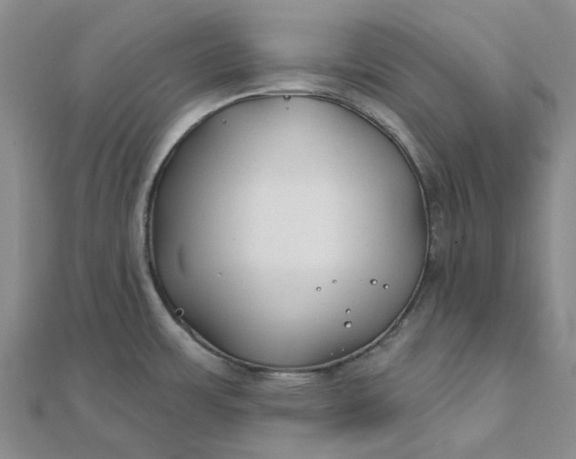 X0000111791483200908061126