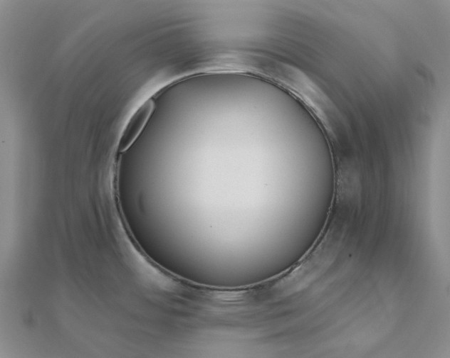 X0000111791484200908061126