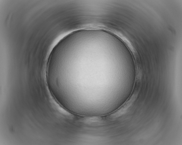 X0000111791486200908061126