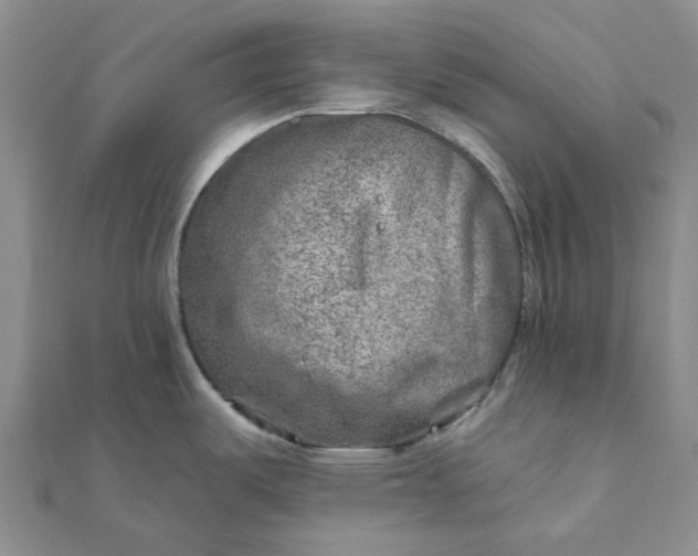 X0000111791487200908061126